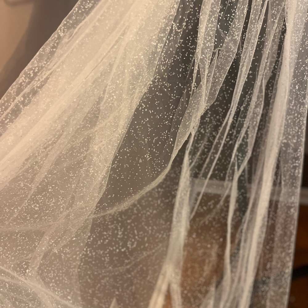 Cathedral Length Glittery Veil